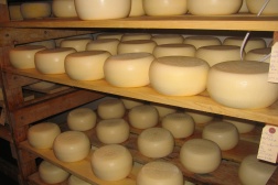 The Art and Craft of Cheese Making
